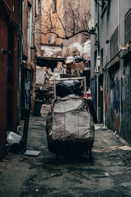 A black wheeled rubbish bin with the label 'St. John's' is positioned on a concrete sidewalk next to a street curb at night. The lid is open, revealing a mix of waste materials including cardboard box