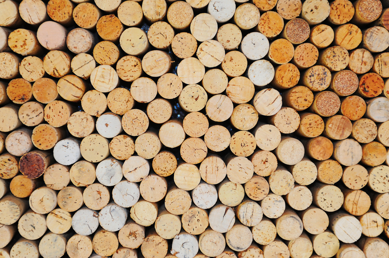 Pioneering Ways to Tackle Microplastic Pollution